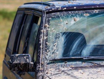 Graffi sul parabrezza: 5 errori pericolosi da evitare