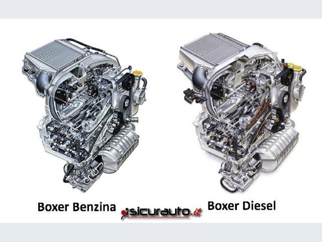 Boxer a confronto