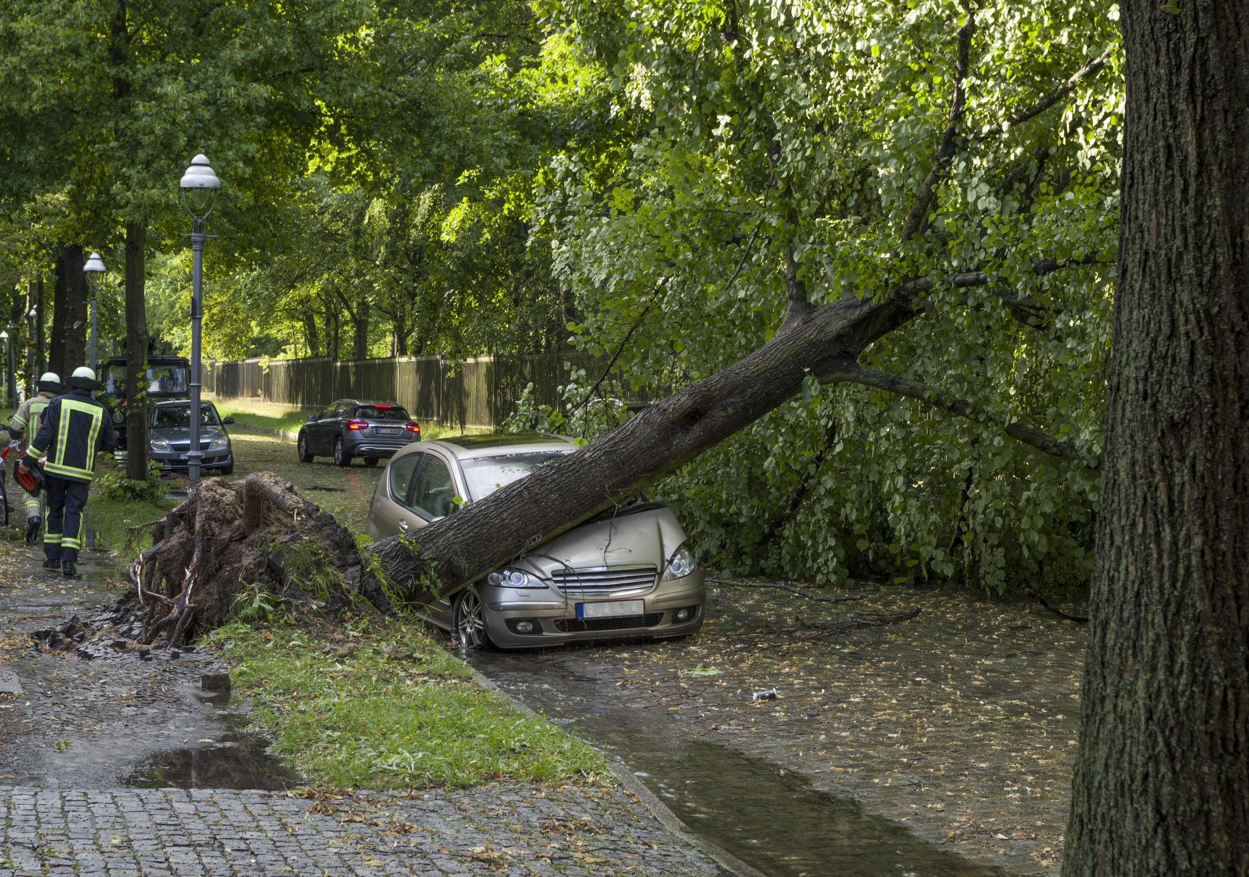 5 errori da non fare se il terremoto ti sorprende in auto