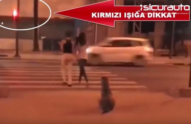 [VIDEO]Le ragazze attraversano col rosso ma il cane paziente aspetta il verde