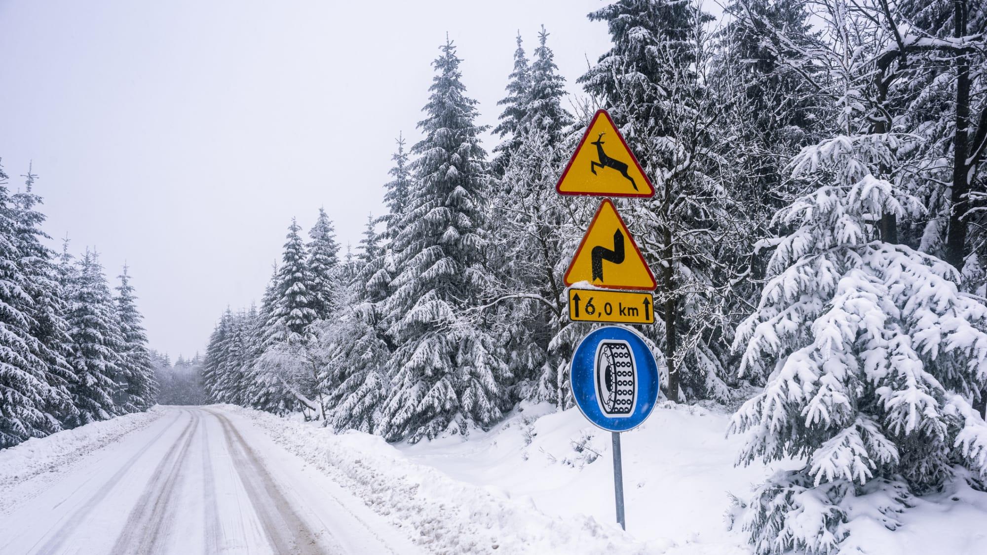 Snow chains