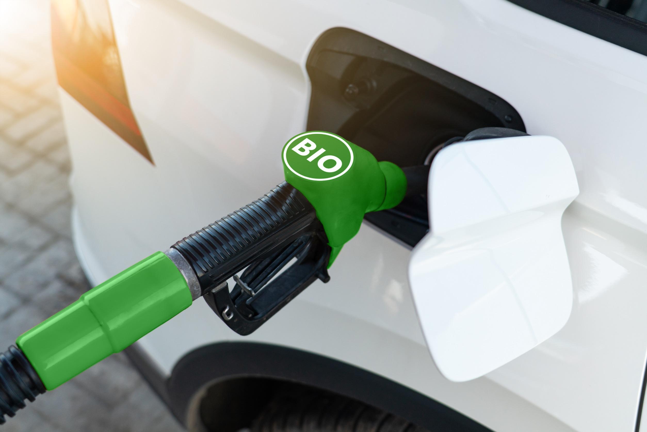 Biocarburanti Antitrust