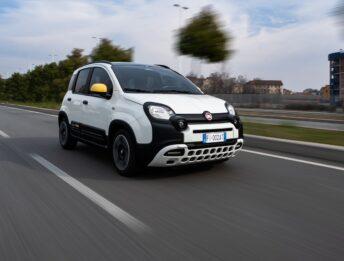 Fiat Pandina Gpl: uscita e prezzo della citycar anti Dacia Sandero