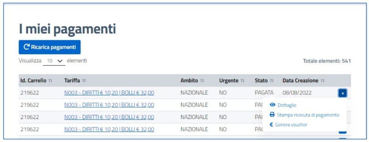 Rimborso PagoPa Portale Automobilista